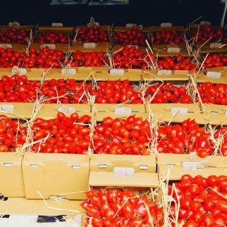 Pomodorino del Piennolo del Vesuvio DOP (2Kg)