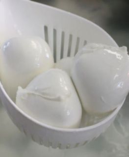Mozzarella di Bufala Campana DOP